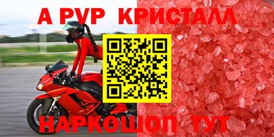 apvp Кингисепп