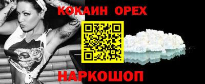 apvp Кингисепп
