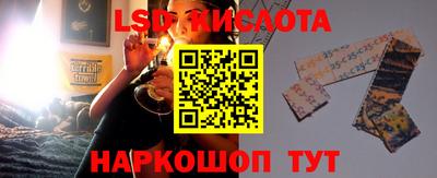 apvp Кингисепп