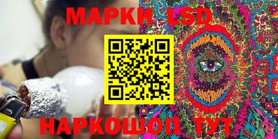 apvp Кингисепп
