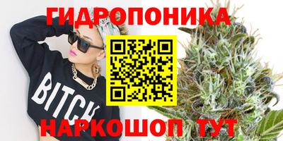 apvp Кингисепп