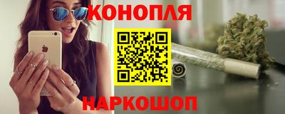 apvp Кингисепп