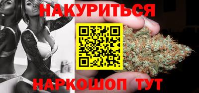 apvp Кингисепп