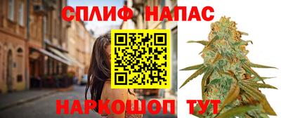apvp Кингисепп