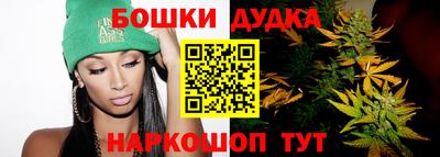 apvp Кингисепп
