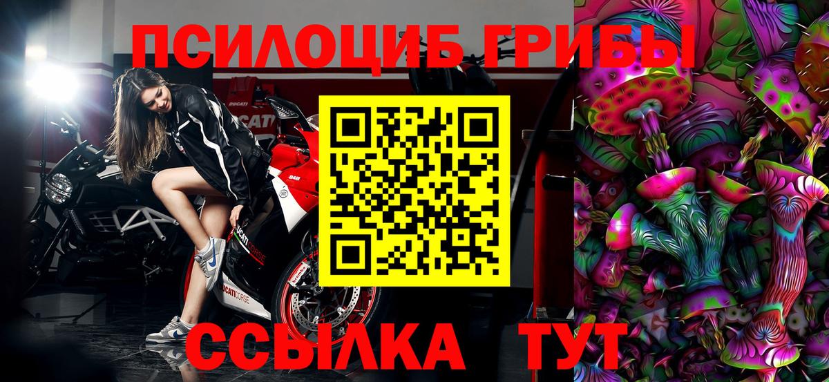 Псилоцибиновые грибы Magic Shrooms  Вход с VPN  купить закладку  Кашира 